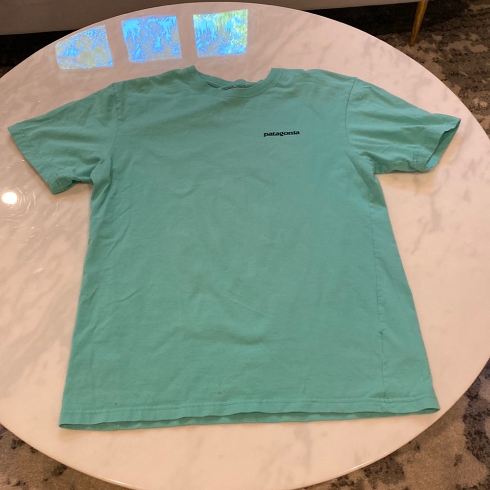 Patagonia logo t-shirt